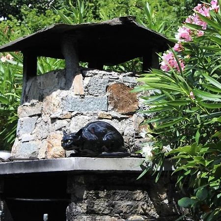 Villa Casa Colori Poggiridenti Esterno foto