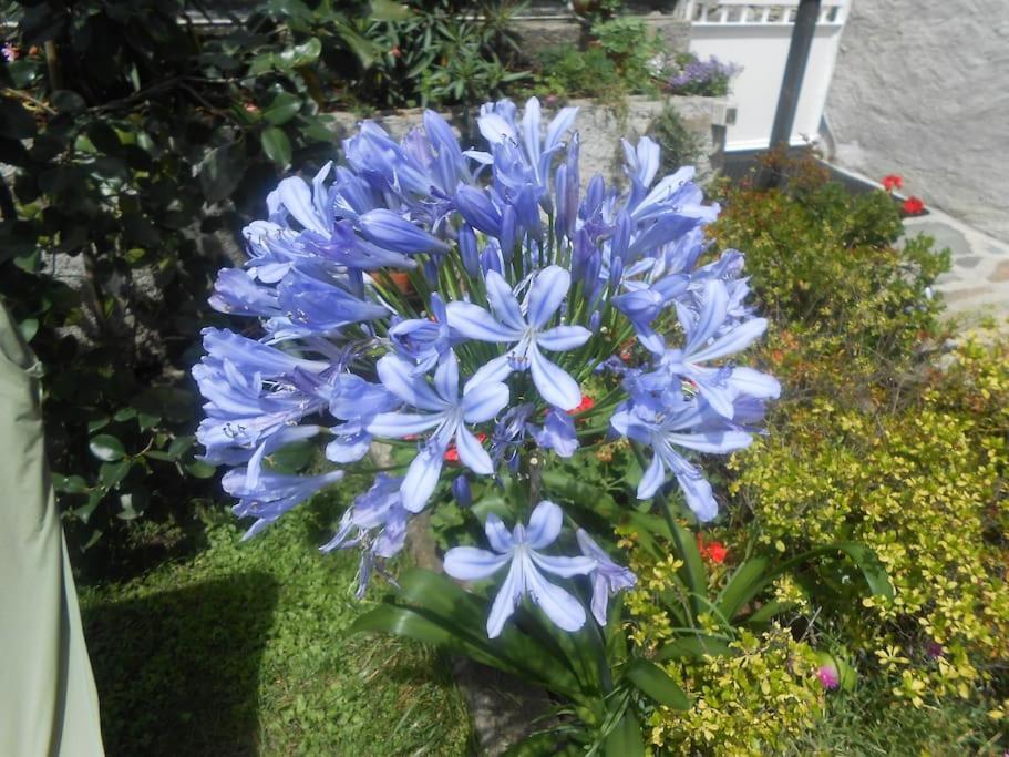 Villa Casa Colori Poggiridenti Esterno foto